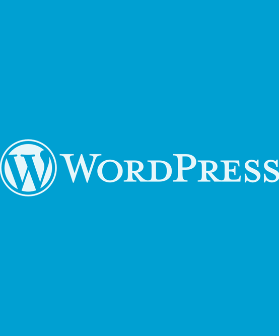 Corso WordPress
